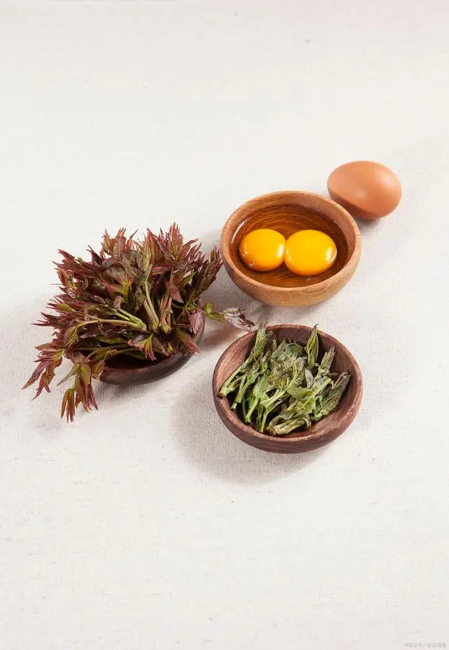 北方香椿树什么时候发芽_北方的香椿树_北方种植香椿树致富经验