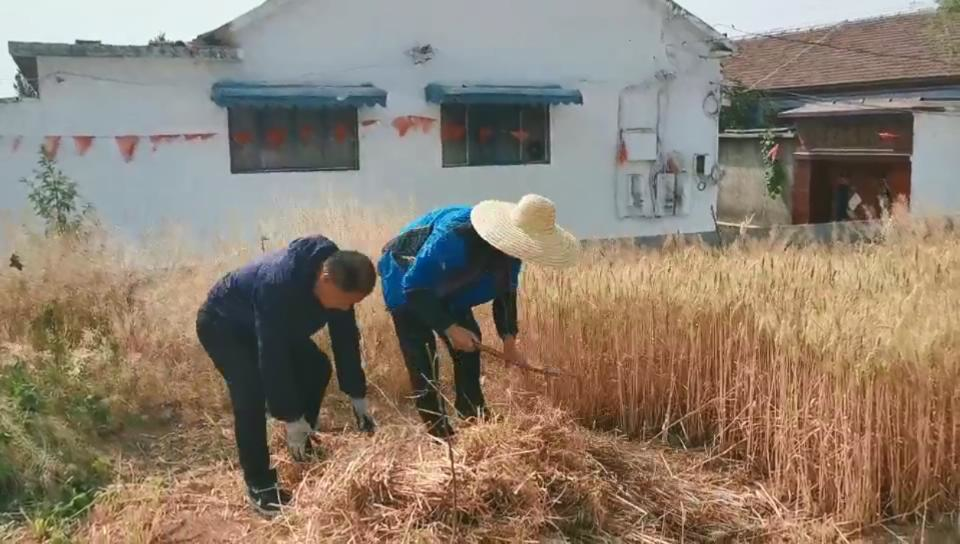 小麦种植合作社简介_小麦种植合作社脱贫致富_小麦种植大户补贴政策