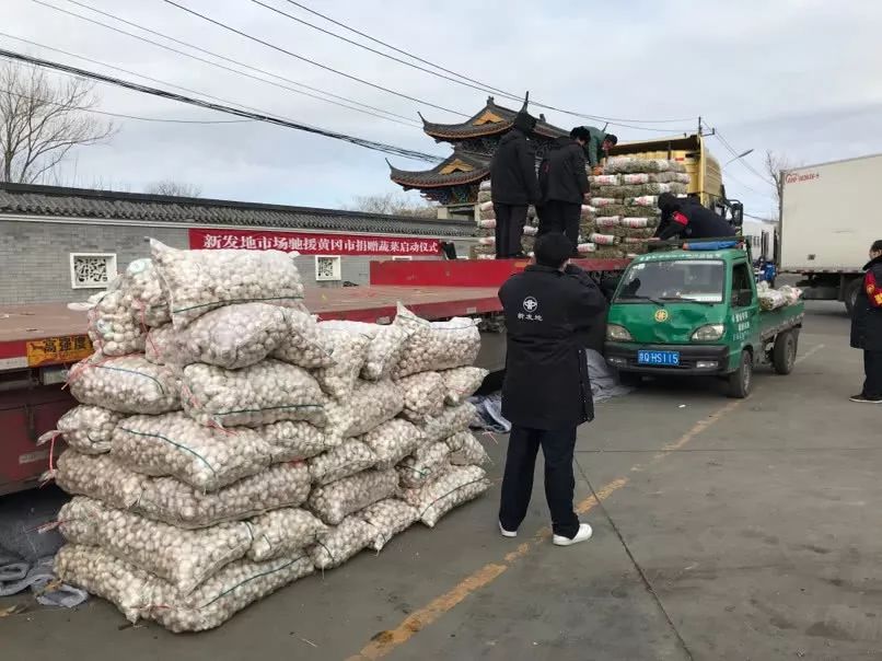河南种植西芹技术视频_河南西芹基地_西芹种植技术和管理视频