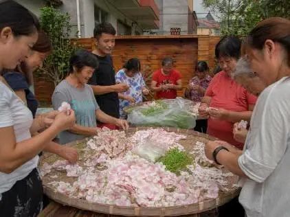 月季嫁接致富经_致富月季嫁接视频_致富月季嫁接方法视频