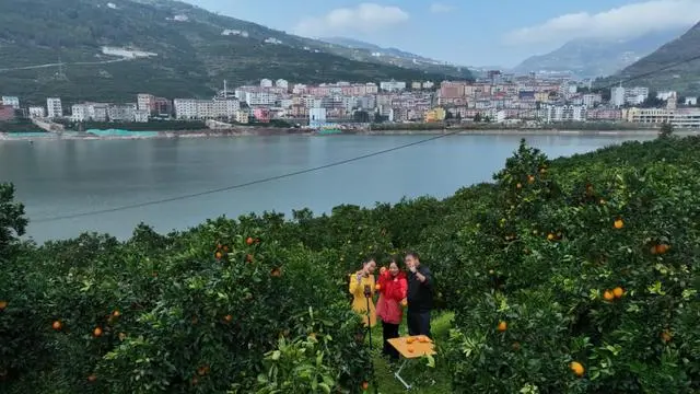 乡村振兴种植养殖技术_乡村振兴种植致富_种植助推乡村振兴