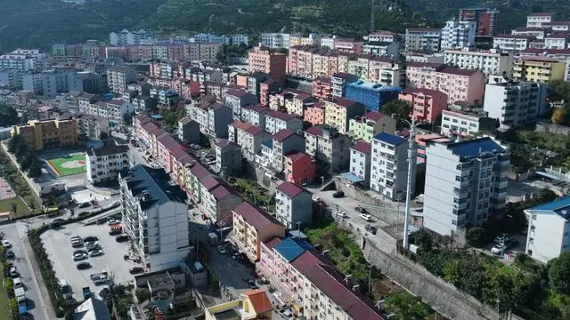 种植助推乡村振兴_乡村振兴种植致富_乡村振兴种植养殖技术