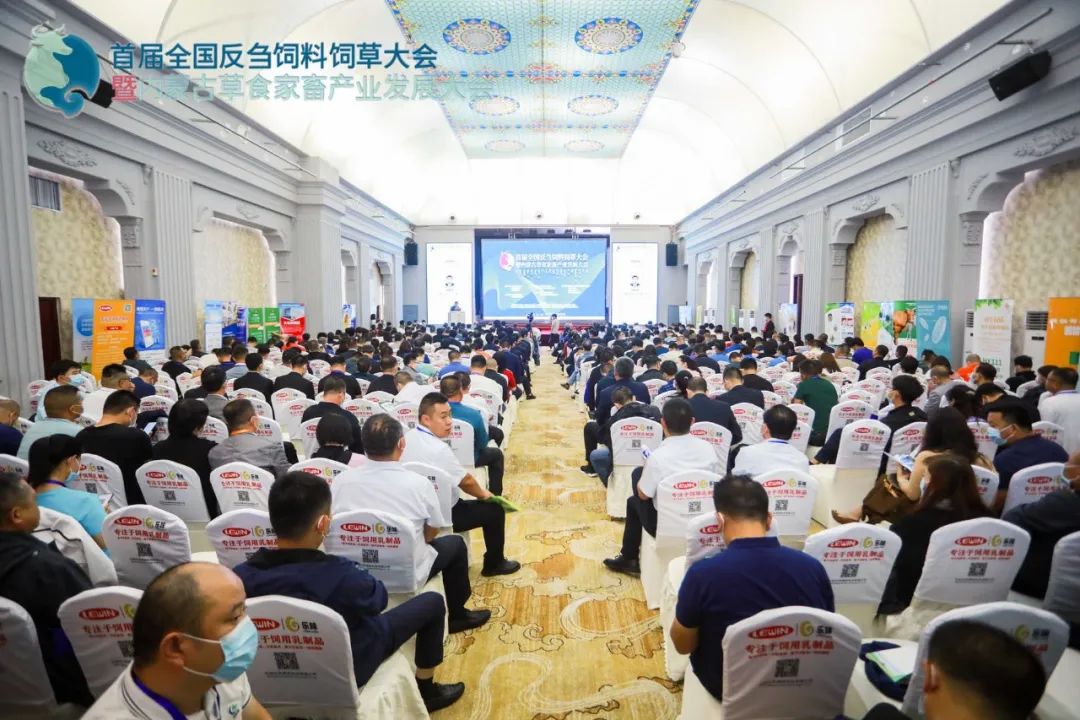 养努比亚山羊的利润多少钱_努比亚黄山羊养殖技术_养努比亚山羊技术播放