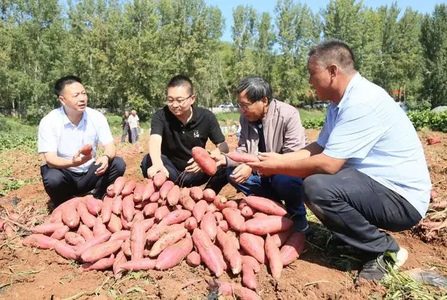 洛阳养殖户_洛阳养殖大户_洛阳农村养殖致富