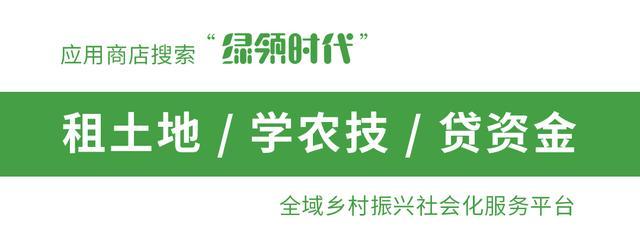 红小豆怎样种植技术_种红小豆的技术与管理_红小豆种植视频