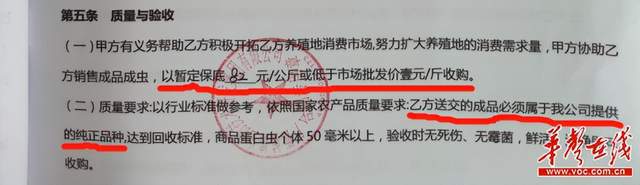 致富经虫子养殖_致富经养虫子鸡视频全集_养殖虫子赚钱吗