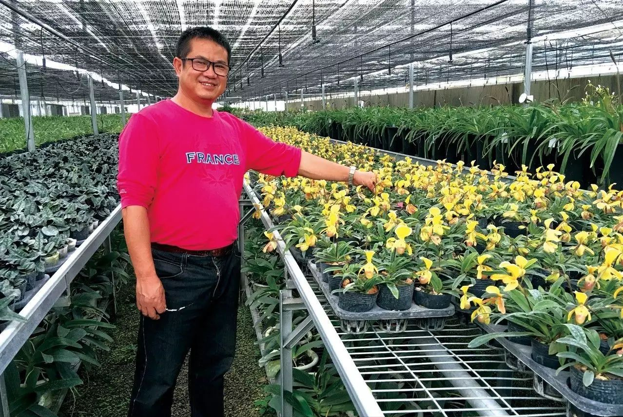 致富养殖项目_养殖致富成功案例_致富养殖业