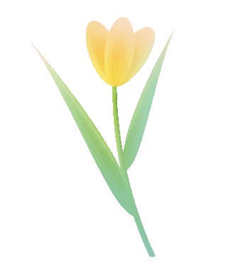 眉县种什么_眉县种植致富_种植致富业