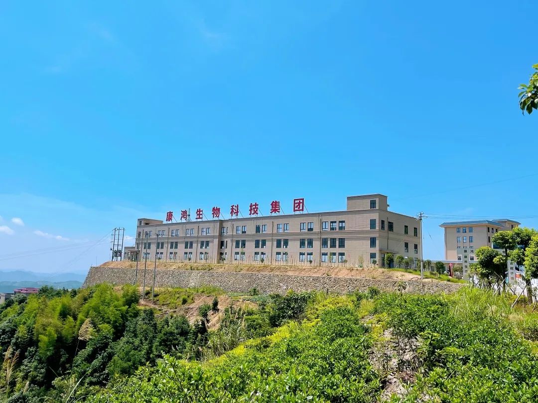 大棚樱桃种植成功致富案例_发展雷竹种植是致富的好门道_海归种植致富方法