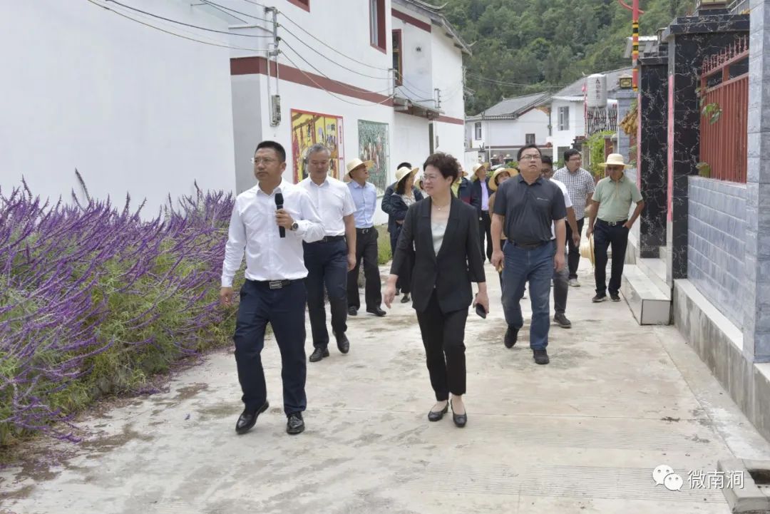 上海养殖什么赚钱_上海做养殖_上海养殖致富项目