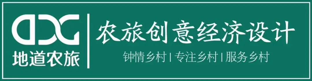 茶农致富_茶叶致富经_茶叶种植致富模式