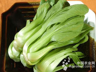 风灵玉秀