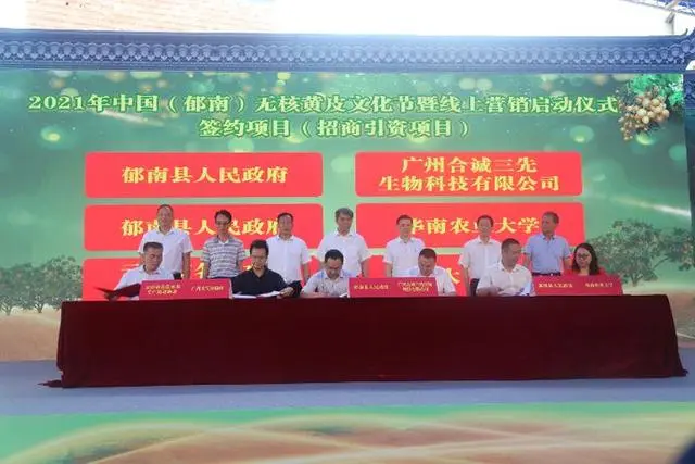 黄皮果树种植技术视频_黄皮果树怎么育苗_黄皮果树栽培技术大全
