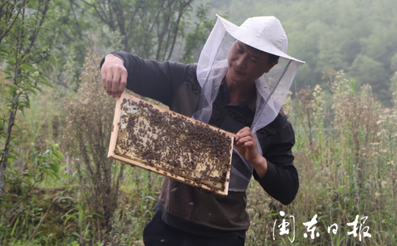 福安社口：“养殖+养路”家门口前脱贫致富