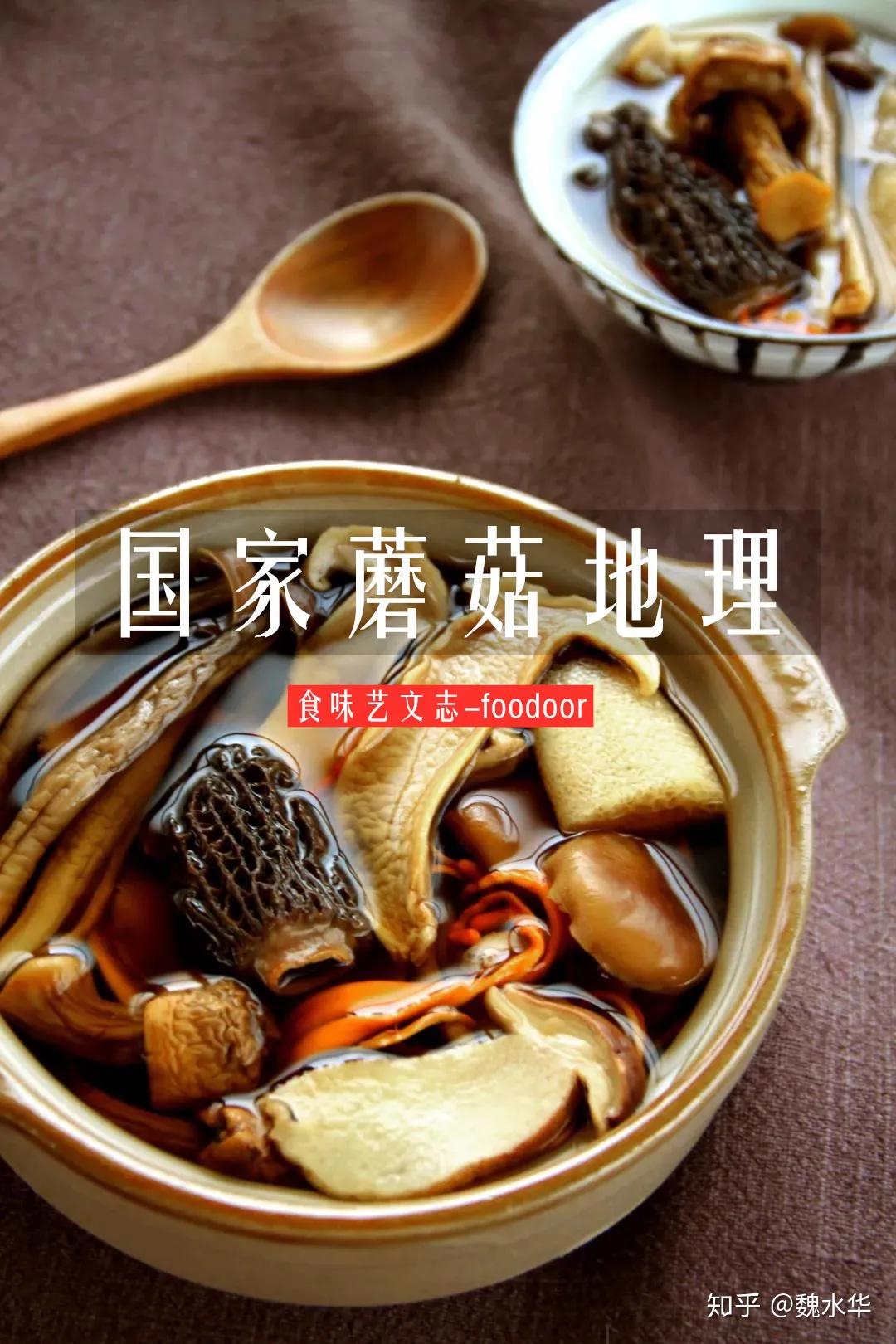 中国各地有什么好吃的蘑菇，或者说菌类？