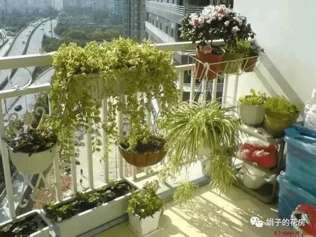 养殖致富哪家强_致富养殖业_养殖致富之路