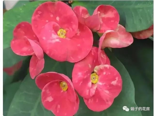 养殖致富哪家强_养殖致富之路_致富养殖业