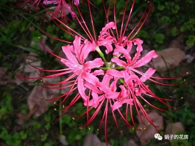 养殖致富之路_养殖致富哪家强_致富养殖业