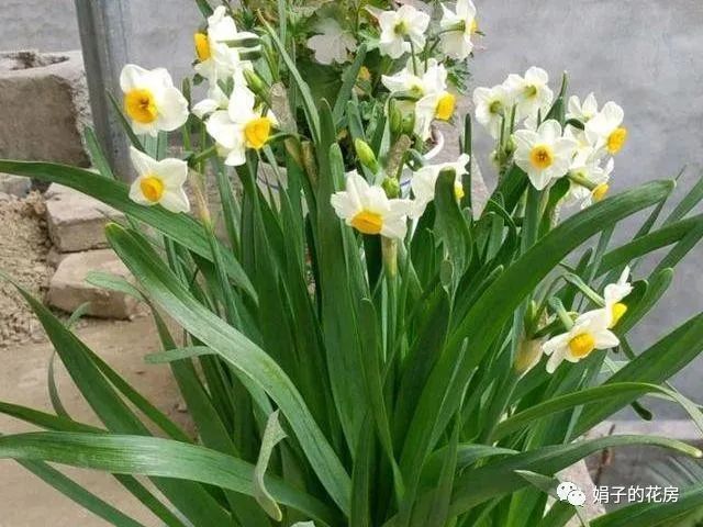 养殖致富哪家强_致富养殖业_养殖致富之路