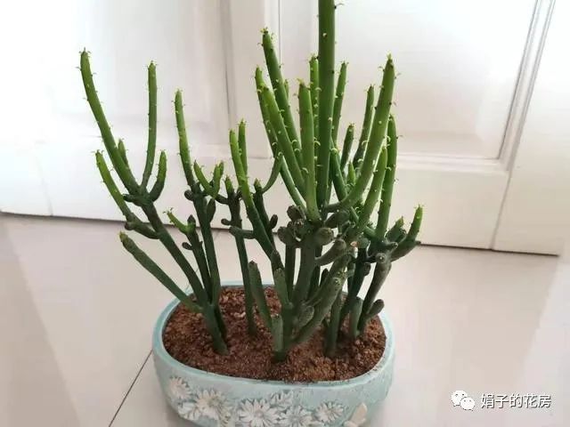 致富养殖业_养殖致富之路_养殖致富哪家强