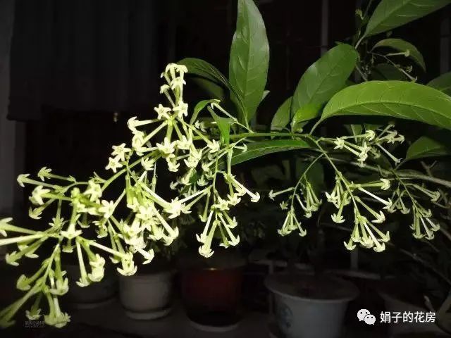 致富养殖业_养殖致富之路_养殖致富哪家强