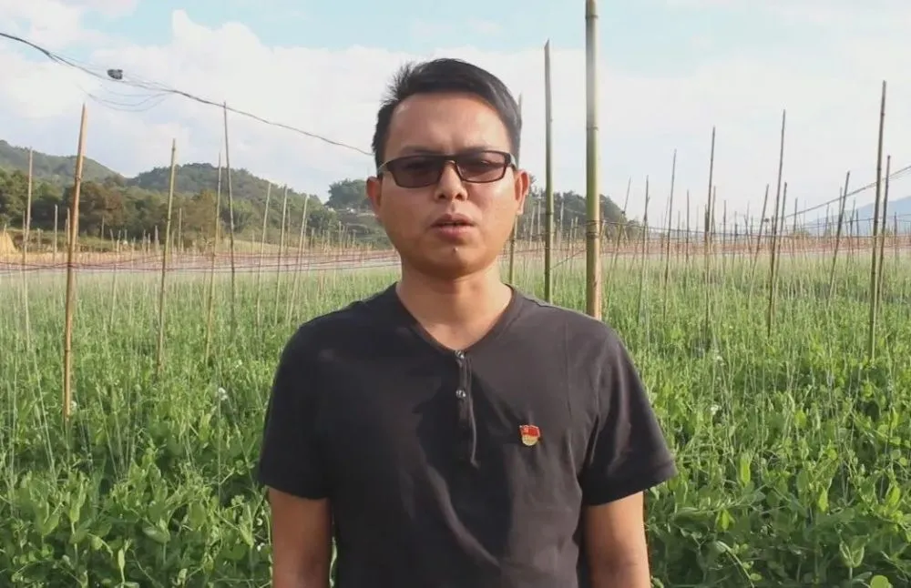农民致富种植项目_休闲农业种植致富_农村致富新项目种植业