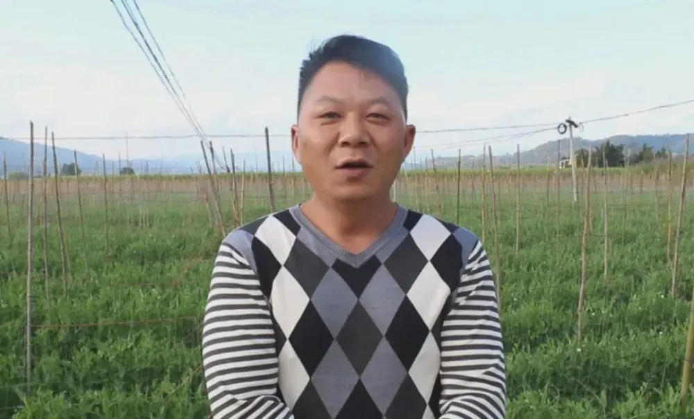 农村致富新项目种植业_休闲农业种植致富_农民致富种植项目
