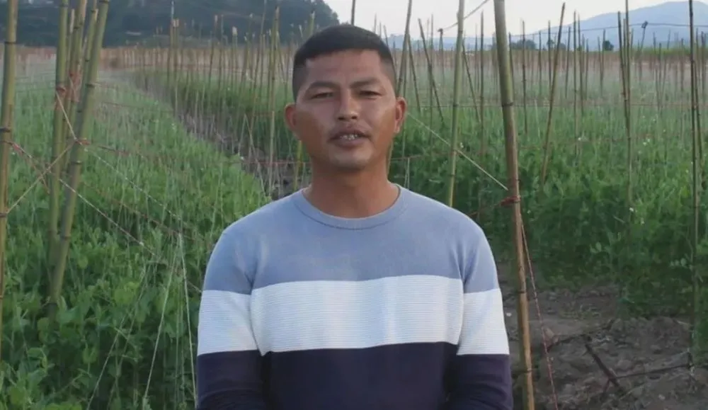 农民致富种植项目_休闲农业种植致富_农村致富新项目种植业