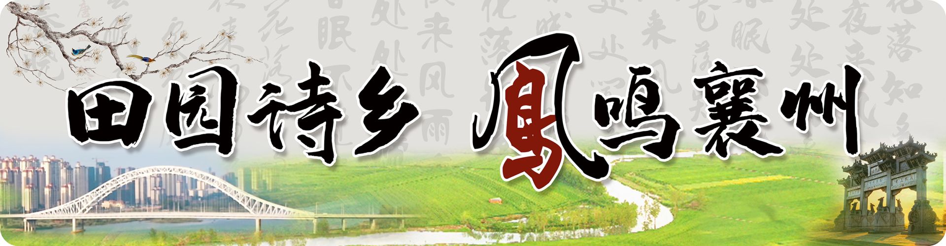 致富经种植三种水果亩收入过亿_致富蔬菜水果种植经验总结_蔬菜水果种植致富经验
