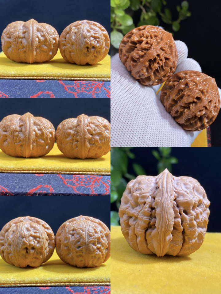 致富经文玩核桃视频_文玩核桃种植致富_核桃致富经