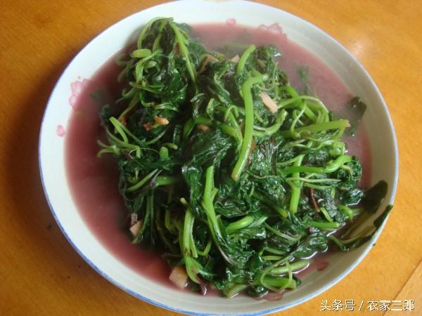 有一种蔬菜常用洗澡水灌溉，不仅人人爱吃，还有个小典故