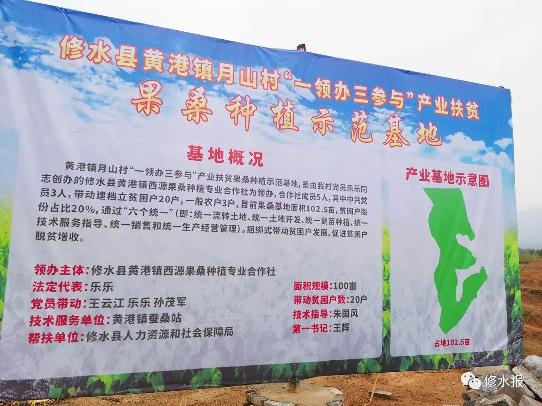 黄港镇：春耕干劲足 500亩荒山变果园