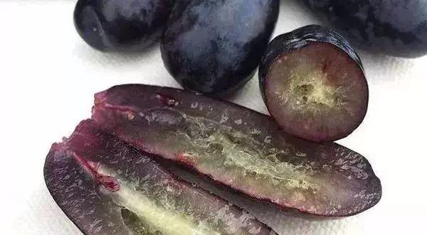蓝宝石种植技术和方法_蓝宝石怎样种植_蓝宝石种植技术新新技术