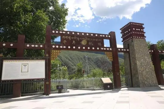 核桃种植示范园简介_核桃种植致富公示_核桃种植专业合作社基本情况