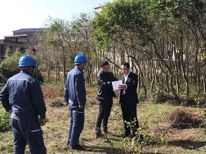 典型电力优质经验服务案例_电力典型经验材料范文_电力优质服务典型经验