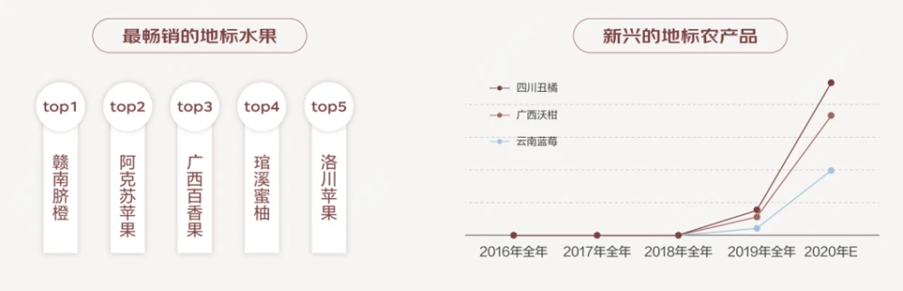 致富经竹虫视频_致富经视频竹笋_致富经竹笋致富视频