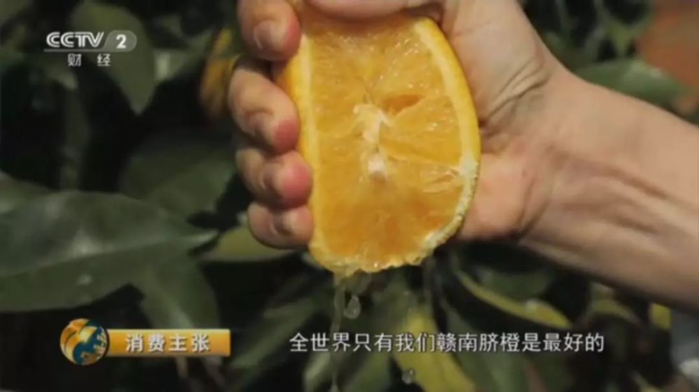 致富经视频竹笋_致富经竹笋致富视频_致富经竹虫视频