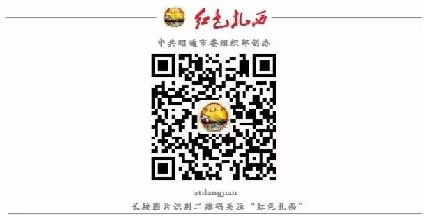 致富经竹笋致富视频_视频致富经_致富经视频竹笋