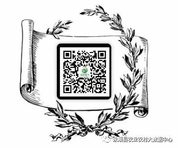 致富柑橘种植方法_种植柑橘致富_致富柑橘种植条件