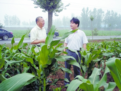 蜜蜂养殖实用技术_蜜蜂土法养殖_致富经土蜜蜂养殖技术