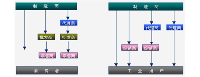 羊肚菌种植市场推广及营销渠道调研报告