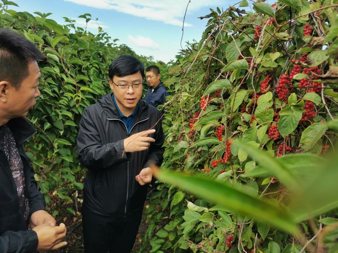 养殖地龙骗局_养殖地龙赚钱吗_专业地龙养殖致富