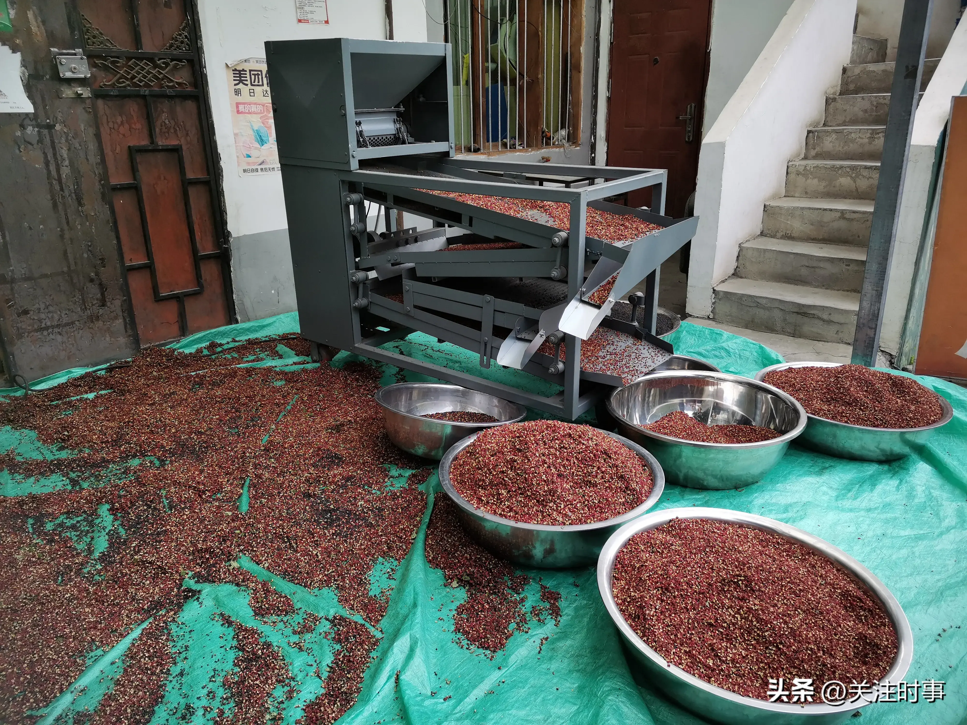 花鱼养殖托起致富梦_花鱼养殖托起致富梦_花鱼养殖托起致富梦