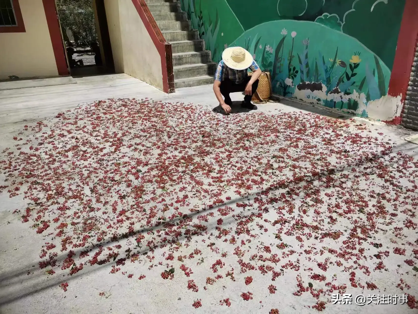 花鱼养殖托起致富梦_花鱼养殖托起致富梦_花鱼养殖托起致富梦