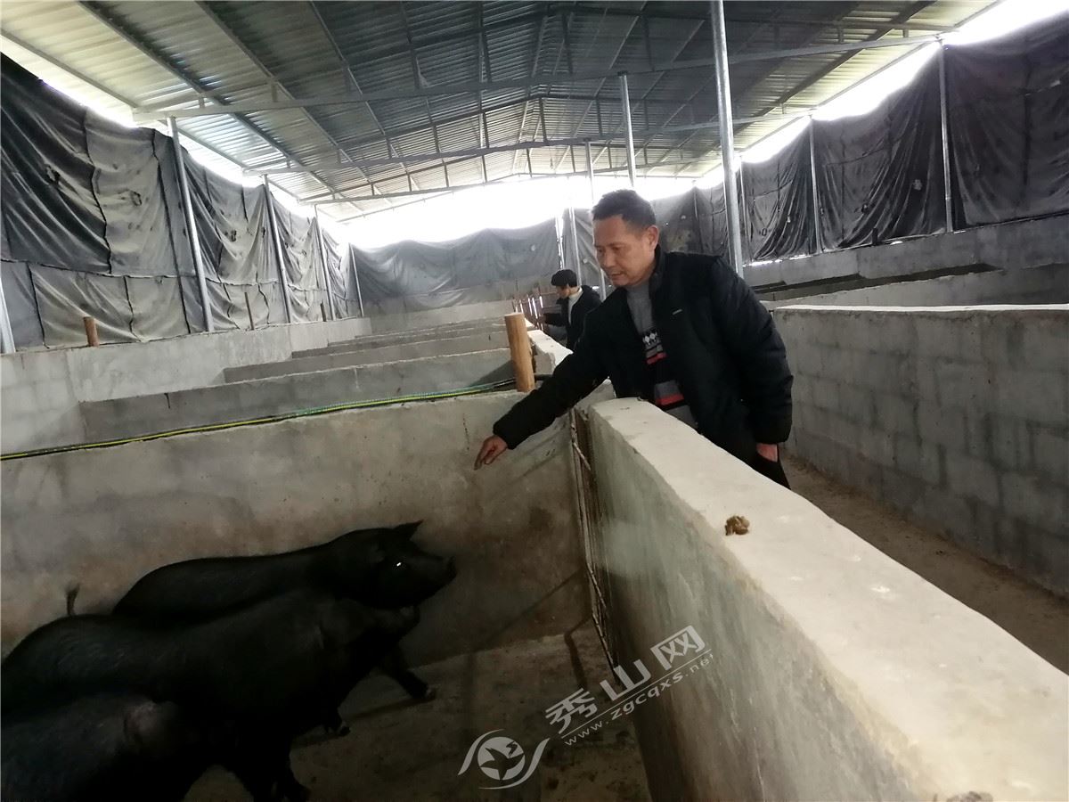 花鱼养殖托起致富梦_花鱼养殖托起致富梦_花鱼养殖托起致富梦