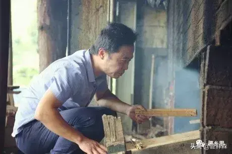 常德黄鳝养殖_湖南养殖黄鳝大户_致富经岳阳黄鳝养殖