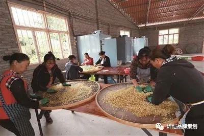 皂荚种植致富_皂荚育苗技术_致富种植皂荚视频