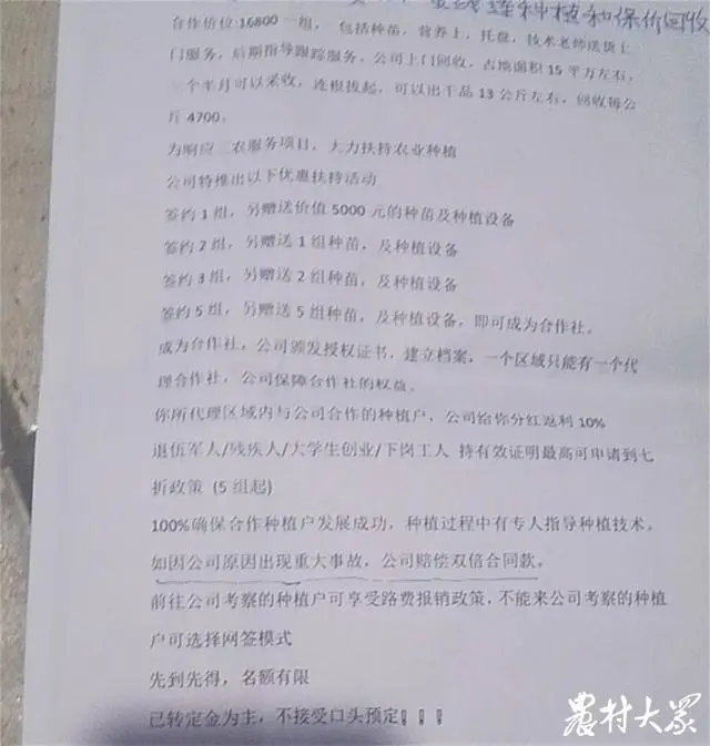 金线莲种植视频直播_种植金线莲功效与作用_金线莲种植技术视频