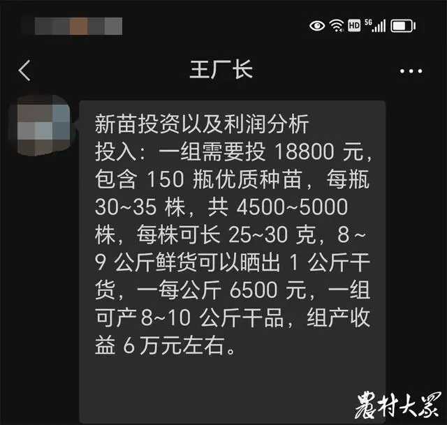 金线莲种植技术视频_种植金线莲功效与作用_金线莲种植视频直播