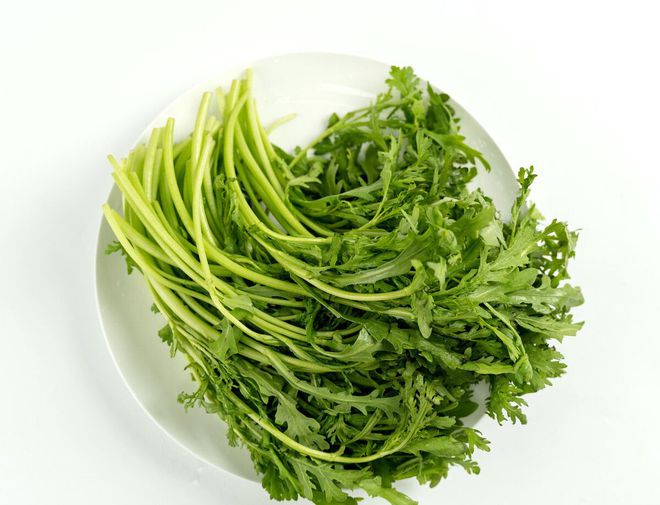 茼蒿夏季怎么种植技术_茼蒿夏天种植技术_夏季茼蒿种植方法